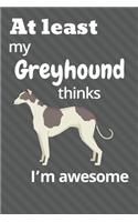 At least My Greyhound thinks I'm awesome