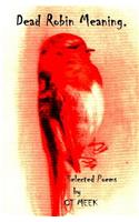 Dead Robin Meaning