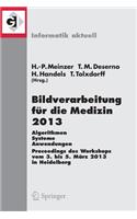 Bildverarbeitung Für Die Medizin 2013