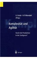 Komplexität Und Agilität