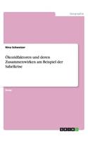 Ökozidfaktoren und deren Zusammenwirken am Beispiel der Sahelkrise