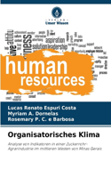 Organisatorisches Klima