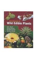 Handbook of Wild Edible Plants
