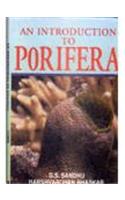 An Introduction to Porifera