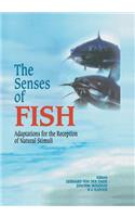 Senses of Fish