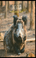 Boar Wall Calendar 2021