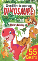 Grand livre de coloriage dinosaure enfant: 55 merveilleux dessins de dinosaures à colorier pour garçons et filles dès 3 ans; Peinture magique dinosaure; Coloriage magique dinosaure (livre de 