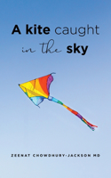 Kite Caught in the Sky