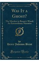 Was It a Ghost?: The Murders in Bussey's Wood; An Extraordinary Narrative (Classic Reprint)