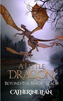 A Little Dragon beyond the Magic Realm