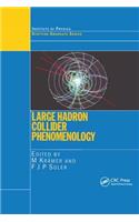 Large Hadron Collider Phenomenology