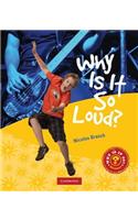 Why Is It So Loud?