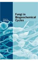 Fungi in Biogeochemical Cycles