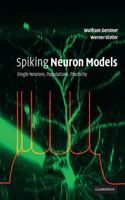 Spiking Neuron Models: Single Neurons, Populations, Plasticity(English)