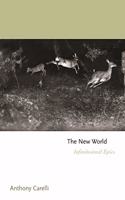 New World: Infinitesimal Epics