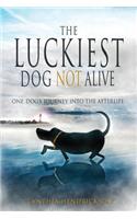 Luckiest Dog Not Alive