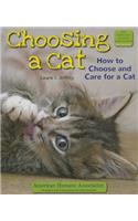 Choosing a Cat