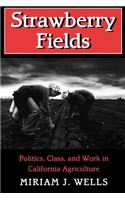 Strawberry Fields: Politics, Class, and Work in California Agriculture