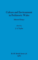 Culture and Environment in Prehistoric Wales