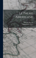 Palme Americane