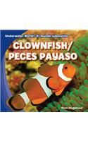 Clownfish / Peces Payaso