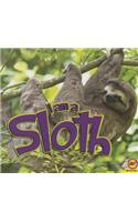 I Am a Sloth