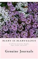 Mary is Marvelous
