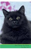 York Chocolate Cat Presents: Cat Facts Workbook. York Chocolate Cat Presents Cat Facts Workbook with Self Therapy, Journalling, Productivity Tracker with Self Therapy, Journalling, Productivity Tracker Workbook. Includes: Space for Notes, to Do Lis
