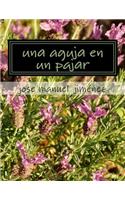 aguja en un pajar