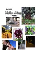 Joe Forte's Villa Mesa Italia