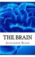 The Brain