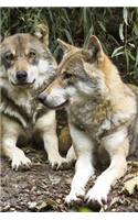 Two Gray Wolves Lounging Together Journal