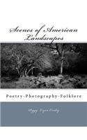 Scenes of American Landscapes