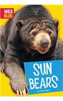 Sun Bears