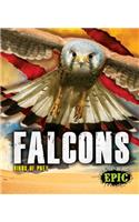 Falcons