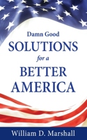 Damn Good Solutions for a Better America