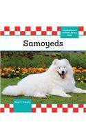Samoyeds: (Checkerboard Animal Library: Dogs)