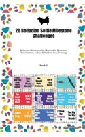 20 Bodacion Selfie Milestone Challenges: Bodacion Milestones for Memorable Moments, Socialization, Indoor & Outdoor Fun, Training Book 2