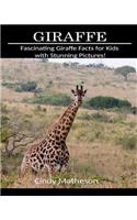 Giraffe: Fascinating Giraffe Facts for Kids with Stunning Pictures!