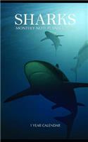Sharks Monthly Note Planner 2019 1 Year Calendar