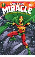 Mister Miracle by Steve Englehart and Steve Gerber