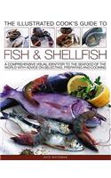 Illustrated Cook's Guide to Fish and Shellfish