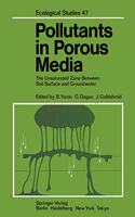 Pollutants in Porous Media