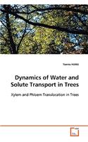 Dynamics of Water and Solute Transport in Trees