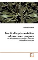 Practical implementation of practicum program