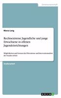 Rechtsextreme Jugendliche und junge Erwachsene in offenen Jugendeinrichtungen: Möglichkeiten und Grenzen der Präventions- und Interventionsarbeit der Sozialen Arbeit