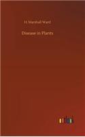 Disease in Plants