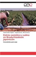 Estrés osmótico y salino en Bradyrhizobium japonicum