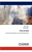 Fire & Soil