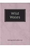 Wild Wales